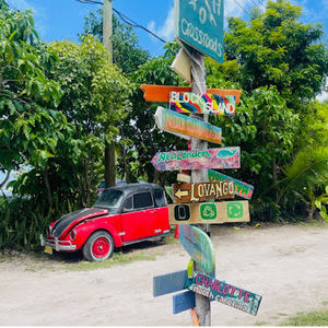 Meet your Posher, Maddie